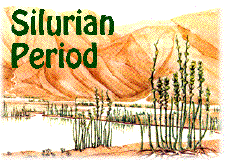 The Silurian Hypothesis Siluhead